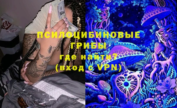 apvp Богданович