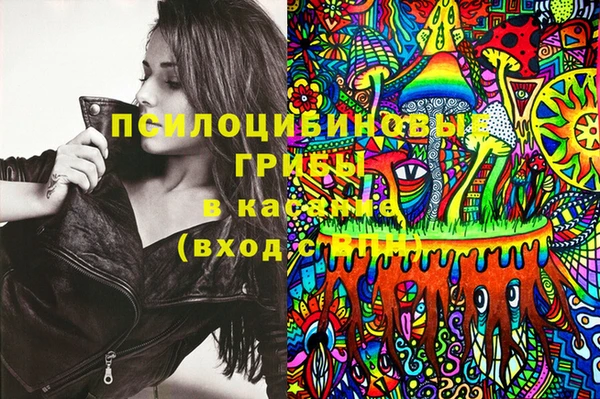 гидропоника Богородск