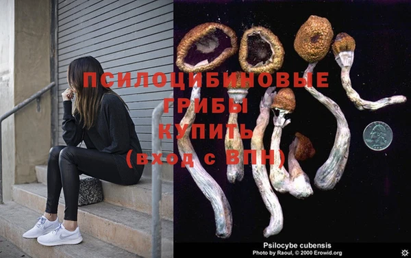 гидропоника Богородск