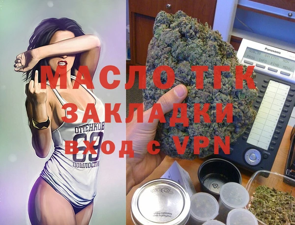дживик Богородицк