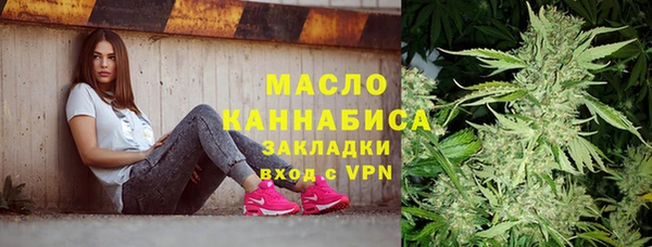 дживик Богородицк