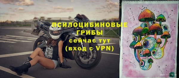 apvp Богданович