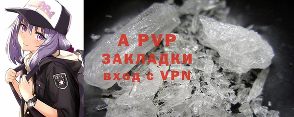apvp Богданович