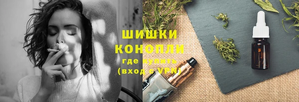 дживик Богородицк