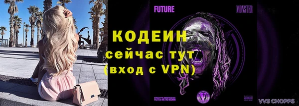 дживик Богородицк