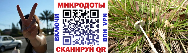 Галлюциногенные грибы Cubensis  где купить   Пионерский 