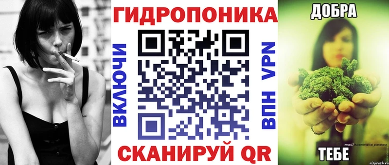 Канабис конопля  Пионерский 